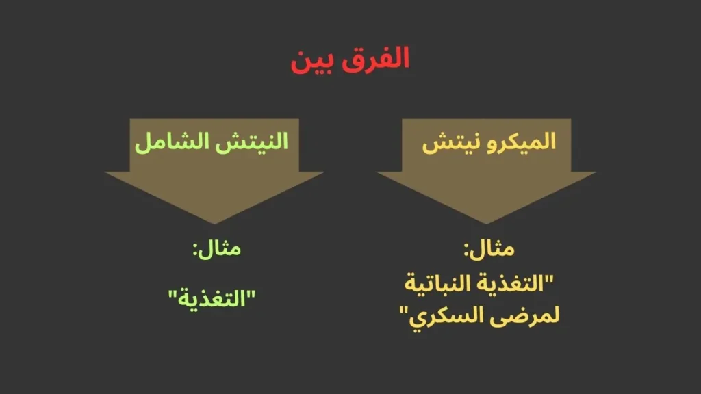 الفرق بين النيتش الشامل والميكرو نيتش